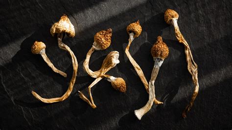 How do you measure shrooms. Things To Know About How do you measure shrooms. 